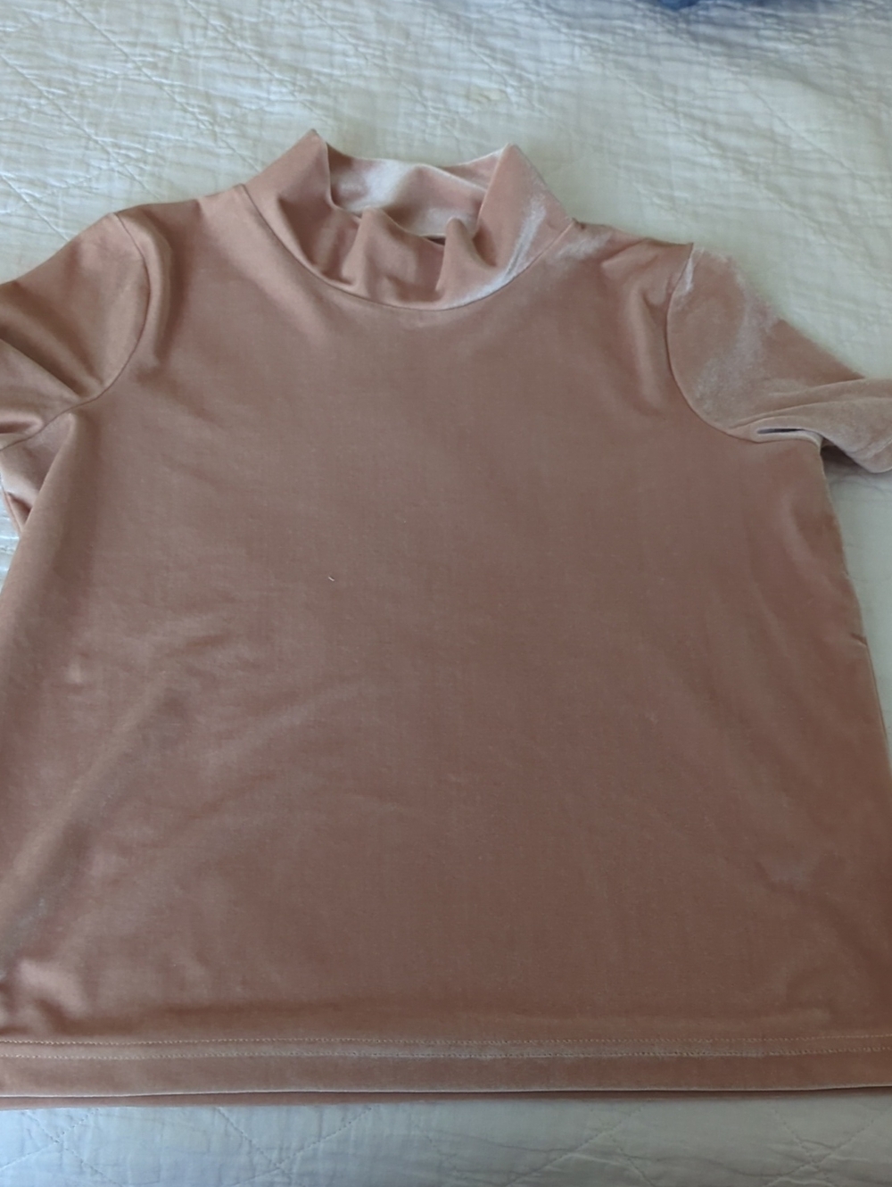 Soft Pink Velvet Mock Neck Top